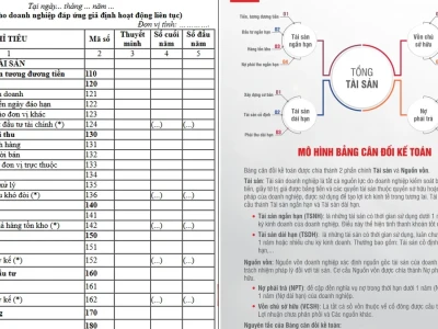 Cổ tức ưu đãi trong báo cáo tài chính: Giải mã các loại và cách tính lãi cơ bản