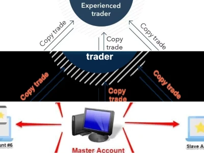 Copy Trade Forex 2026: Lợi Nhuận Khủng Hay Cạm Bẫy?