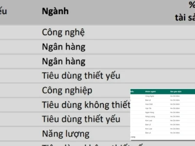 Danh mục cổ phiếu của các quỹ đầu tư Tiết lộ chiến lược nào?