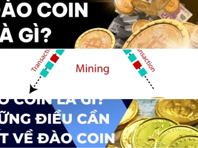 Đào Coin Là Gì? Hé Lộ Góc Khuất Của Cuộc Đua Tiền Ảo 2026