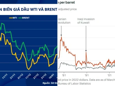 Đồ thị giá dầu thế giới 2026: Bão táp hay cơ hội sinh lời?