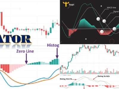 Đường MACD Là Gì? Phá Vỡ Bí Ẩn Chỉ Báo Động Lượng Kinh Điển