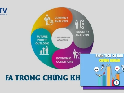 Fa Là Gì Trong Chứng Khoán Giải Mã Phân Tích Cơ Bản