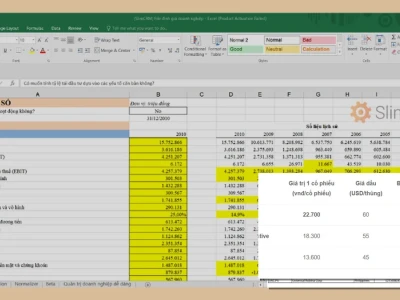 File Excel Định Giá Cổ Phiếu Công Cụ Đắc Lực Hay Gánh Nặng?