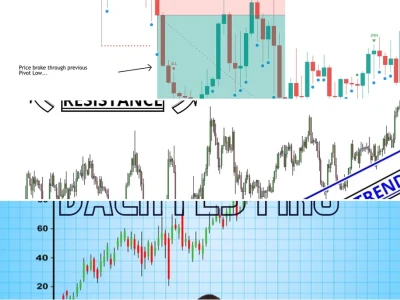 Forex Backtesting: Công cụ sinh tử hay ảo tưởng lợi nhuận 2026?