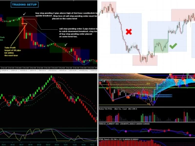 Forex Trading System: Sự Thật Gai Góc Đằng Sau Các Cỗ Máy Sinh Lời?