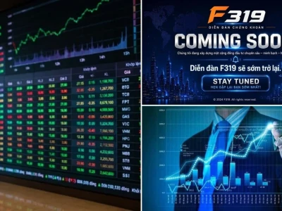 Forum Chứng Khoán: Thiên Đường Hay Địa Ngục Cho Nhà Đầu Tư?