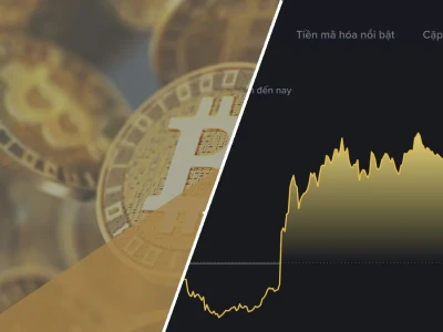 Giá Bitcoin Hôm Nay 2026: Đỉnh Cao Hay Vực Thẳm?