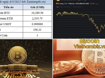 Giá Bitcoin Hôm Nay: Liệu Vùng 80.000 USD Có Còn Là Pháo Đài Bất Khả Xâm Phạm?