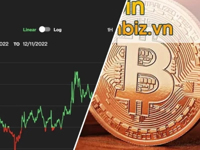 Giá Bitcoin Hôm Nay: Tăng hay Giảm, Khám Phá Động Thái Thị Trường 2026