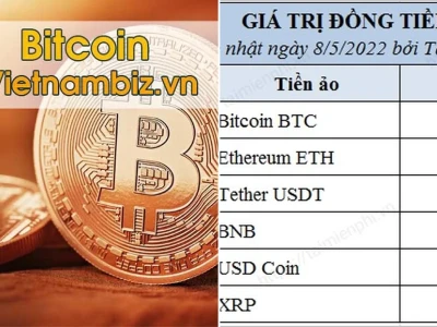 Giá Bitcoin Hôm Nay VND: Biến Động Khó Lường và Kịch Bản Dài Hạn