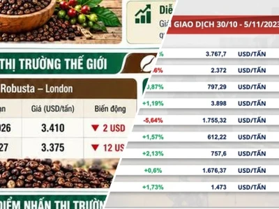 Giá Cà Phê Arabica Xuất Khẩu 2026: Bức Tranh Toàn Cảnh và Dự Báo Đầy Biến Động