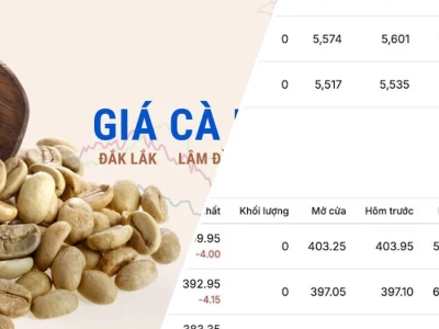 Giá Cà Phê Hôm Nay 2026: Bão Giá Hay Cơ Hội Vàng?