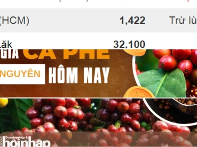 Giá Cà Phê Hôm Nay Tây Nguyên: Biến Động Khó Lường Hay Cơ Hội Vàng?