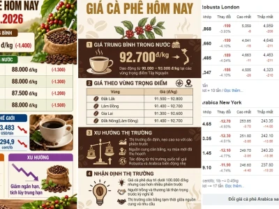 Giá Cà Phê Ngày Nay Bao Nhiêu Sự Thật Đằng Sau Biến Động Thị Trường?