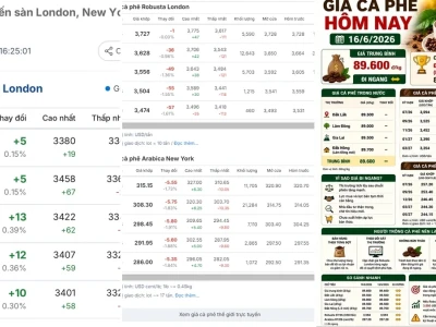 Giá cà phê thế giới hôm nay: Bong bóng hay cơ hội đầu tư 2026?