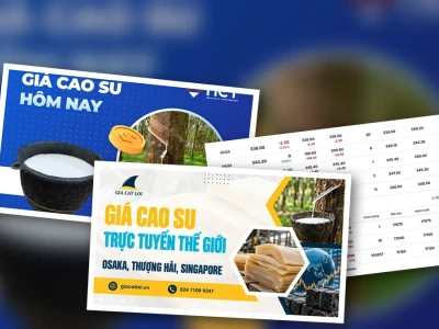 Giá Cao Su Thế Giới Hôm Nay 2026: Tăng Hay Giảm? Phân Tích Đa Chiều