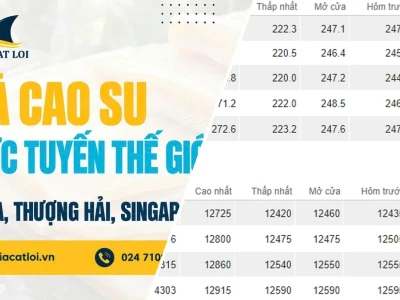 Giá Cao Su Thượng Hải Hôm Nay Biến Động Thế Nào Phân Tích Gai Góc