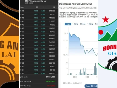 Giá Cổ Phiếu HAG Agrico: Biến Động Và Phân Tích Sâu Từ Chuyên Gia