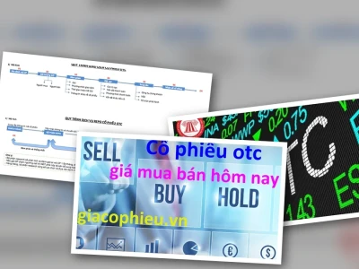 Giá Cổ Phiếu OTC: Bóc Trần Sự Thật Đằng Sau Thị Trường "Chợ Đen"
