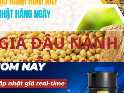 Giá Dầu Nành Thế Giới: Biến Động Khó Lường Hay Cơ Hội Vàng Năm 2026?
