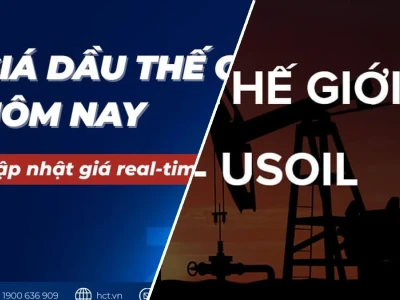 Giá dầu thế giới trực tuyến hôm nay: Sự thật bị che giấu và bài học đắt giá