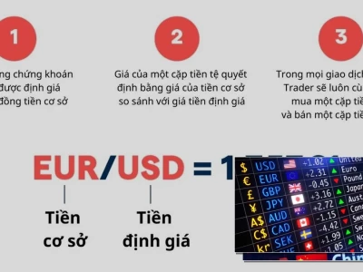 Giải Mã Các Cặp Tiền Tệ Chính Trong Forex Ai Cũng Nên Biết