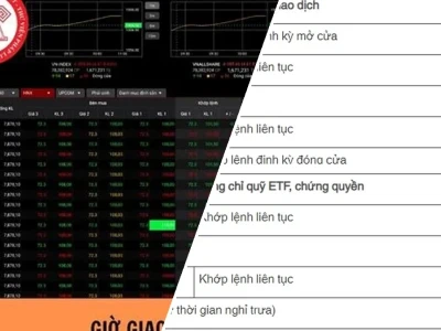 Giải Mã: Có Bao Nhiêu Sàn Chứng Khoán Ở Việt Nam Và Vai Trò Ít Ai Ngờ