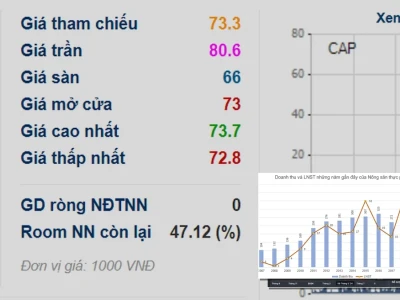 Giải mã Mã Vàng Chứng Khoán: Thực tế và Lầm tưởng 2026