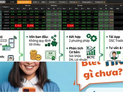 Học Chơi Chứng Khoán Miễn Phí: Lầm Tưởng 'Ăn Xổi' và Con Đường Thực Chiến 2026