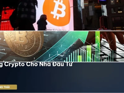 Học đầu tư Crypto: Sự thật gai góc và lộ trình cho người mới