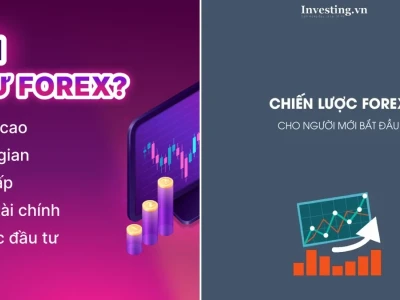 Học Forex Cho Người Mới Bắt Đầu: Sự Thật Đằng Sau Lợi Nhuận Khủng