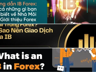 Ib Trong Forex Là Gì? Phá Bỏ Lầm Tưởng Về "Nghề Hái Ra Tiền"?