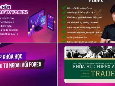 Khóa Học Đầu Tư Forex: Bóc Trần Sự Thật Và Lầm Tưởng Kinh Điển