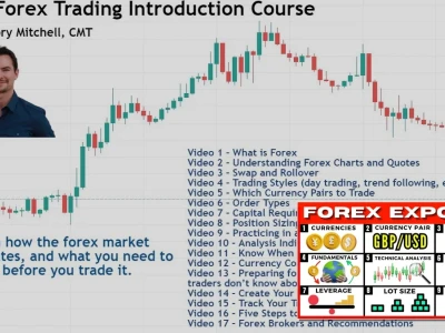 Khóa Học Forex Trading: Lời Nói Thật Lòng & Dữ Liệu Đối Chứng