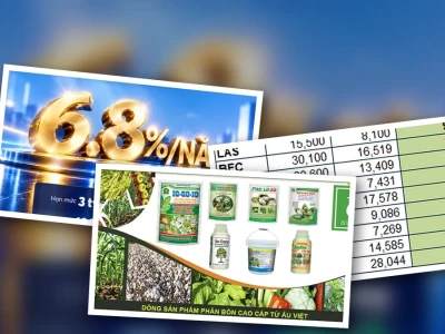 Mã Chứng Khoán Phân Bón: Cơ Hội Hay Cạm Bẫy Đầu Tư Năm 2026?