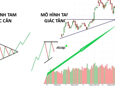 Mẫu Hình Tam Giác Chứng Khoán: Bí Mật Sinh Lời Hay Cạm Bẫy?
