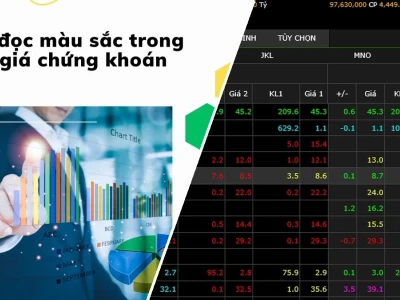 Màu Sắc Chứng Khoán Bí Ẩn Giải Mã Hay Cạm Bẫy