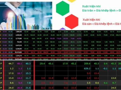 Màu Sắc Chứng Khoán Hiểu Đúng Hay Sai?