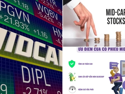 Midcap trong Chứng khoán là gì? Giải mã nhóm cổ phiếu 'vừa đủ tốt'