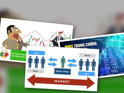Mms Là Gì Trong Chứng Khoán Những Lầm Tưởng Cần Khai Trừ