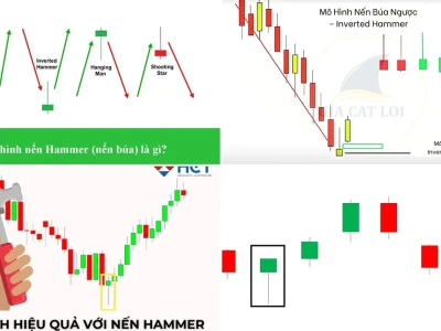 Mô hình nến Hammer: Búa thần hay bẫy thợ mới?