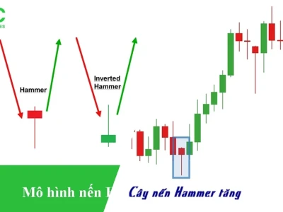 Nến Hammer Là Gì? Lật Tẩy Bí Mật Đằng Sau Mẫu Hình Đảo Chiều