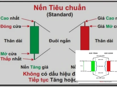 Nến Tiêu Chuẩn Bí Ẩn Lợi Nhuận Hay Lời Nguyền Đầu Tư?