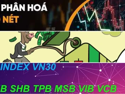 Nhịp Đập Thị Trường Chứng Khoán Hôm Nay 2026: Góc Nhìn Gai Góc