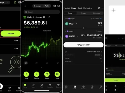 OKX PI USDT: Phân Tích Biểu Đồ Wyckoff và Vị Thế Holder