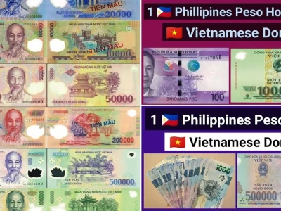Peso sang VND: Cập nhật tỷ giá 2026 và những cú lừa từ dịch vụ chuyển tiền