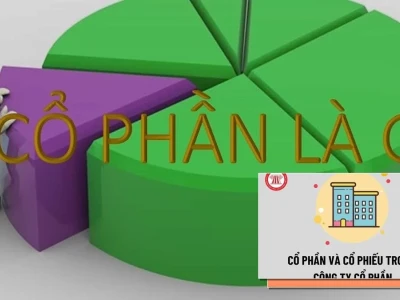 Phân biệt Cổ phần và Cổ phiếu: Lầm tưởng tai hại nhà đầu tư mắc phải