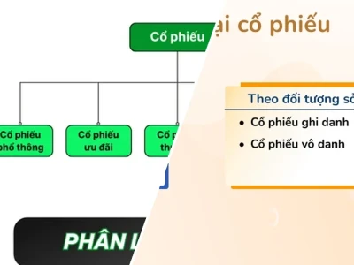 Phân Loại Cổ Phiếu: Bí Mật Đằng Sau Những Con Số Lợi Nhuận