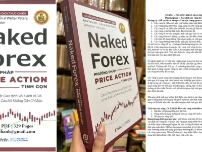 Phân Tích Sâu Phương Pháp Price Action Tinh Gọn PDF: Sự Thật Bị Che Giấu